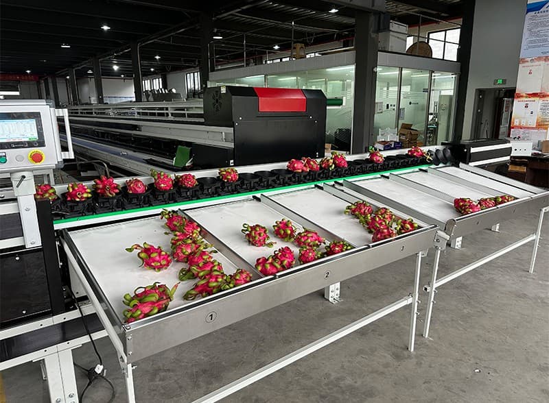 images/1715068636453máquina de clasificación de frutas.jpg